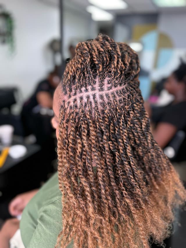 Mini Twists with Ombre Color hairstyle photo